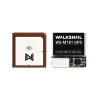 Walksnail WS-M181 GPS s kompasem